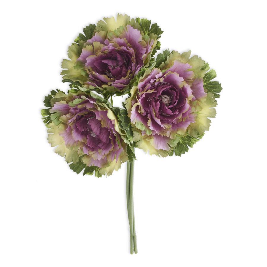 Purple Cabbage Bundle