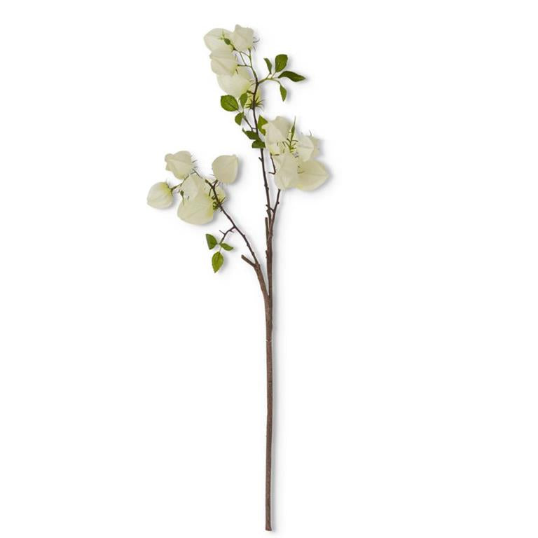 White Chinese Lantern Spray