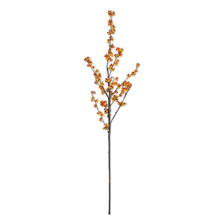 Bittersweet Branch