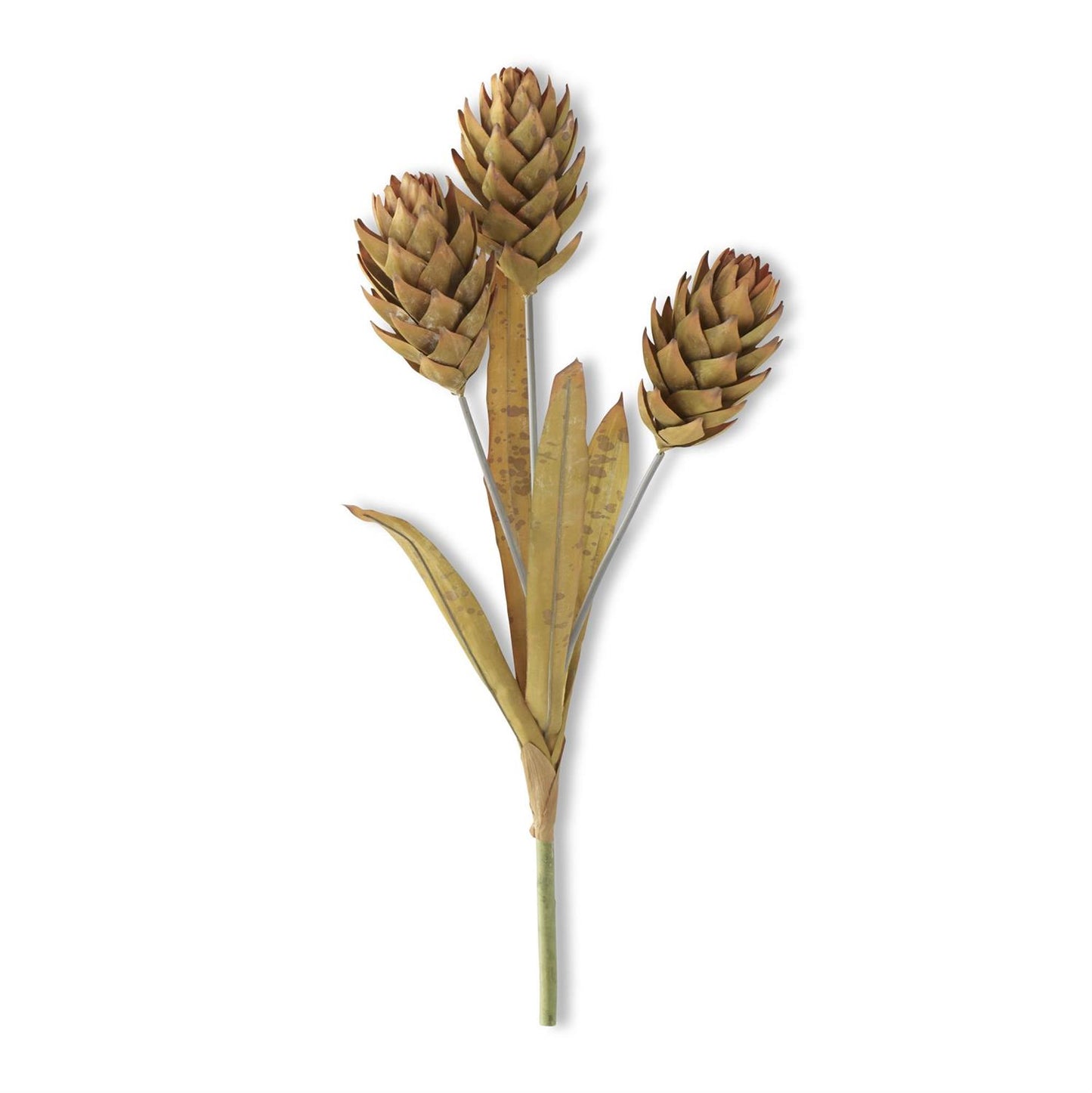 Light Yellow Ginger Triple Flower Stem