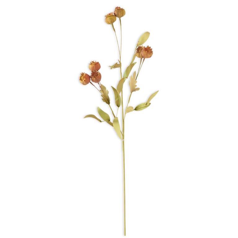 Orange Green Pod Spray