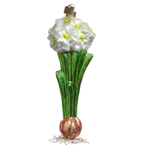 Paperwhite Bulb Ornament