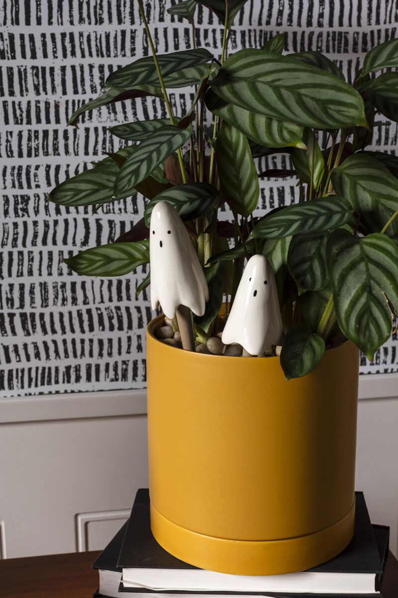 Casper Plant Stake