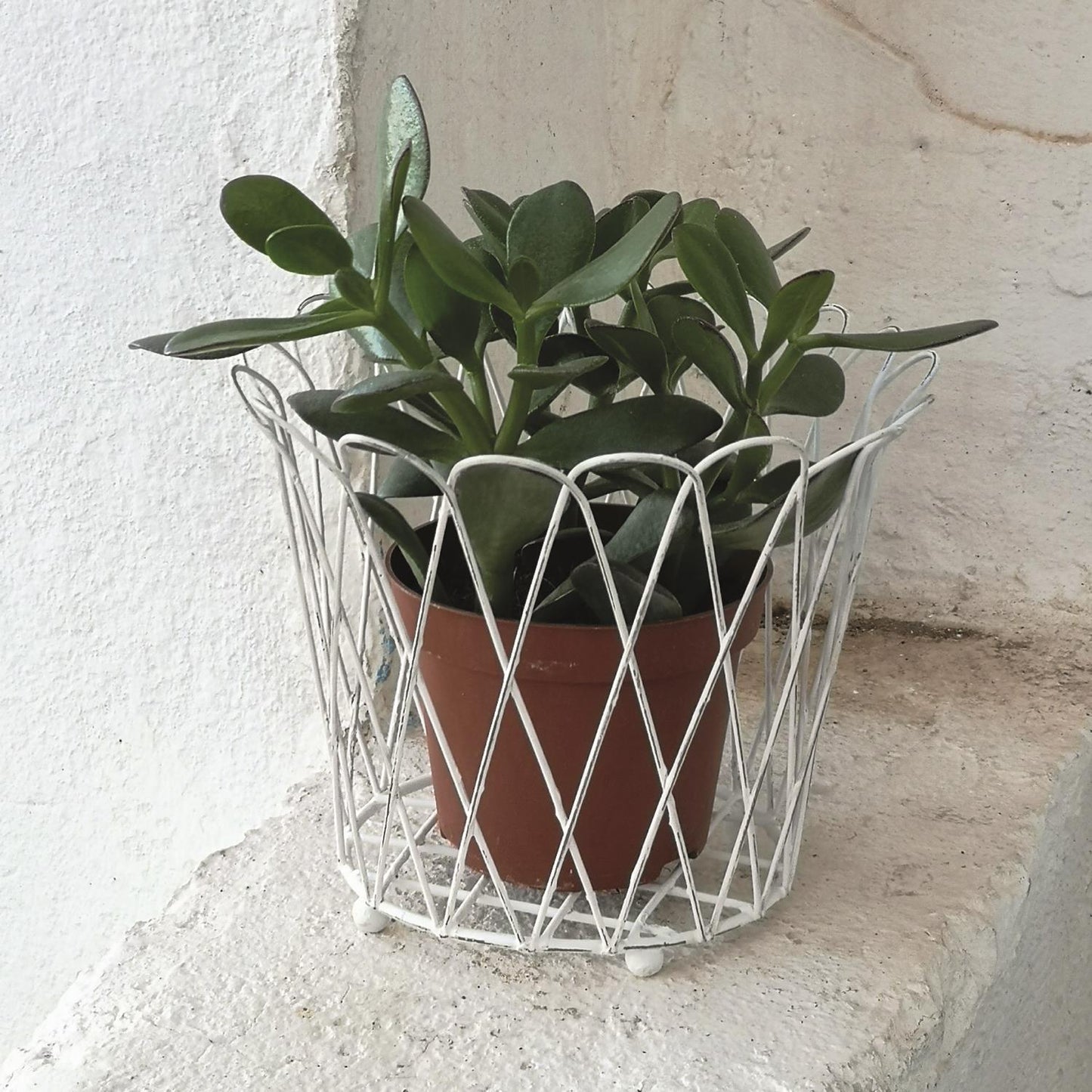 Small French Wire Basket