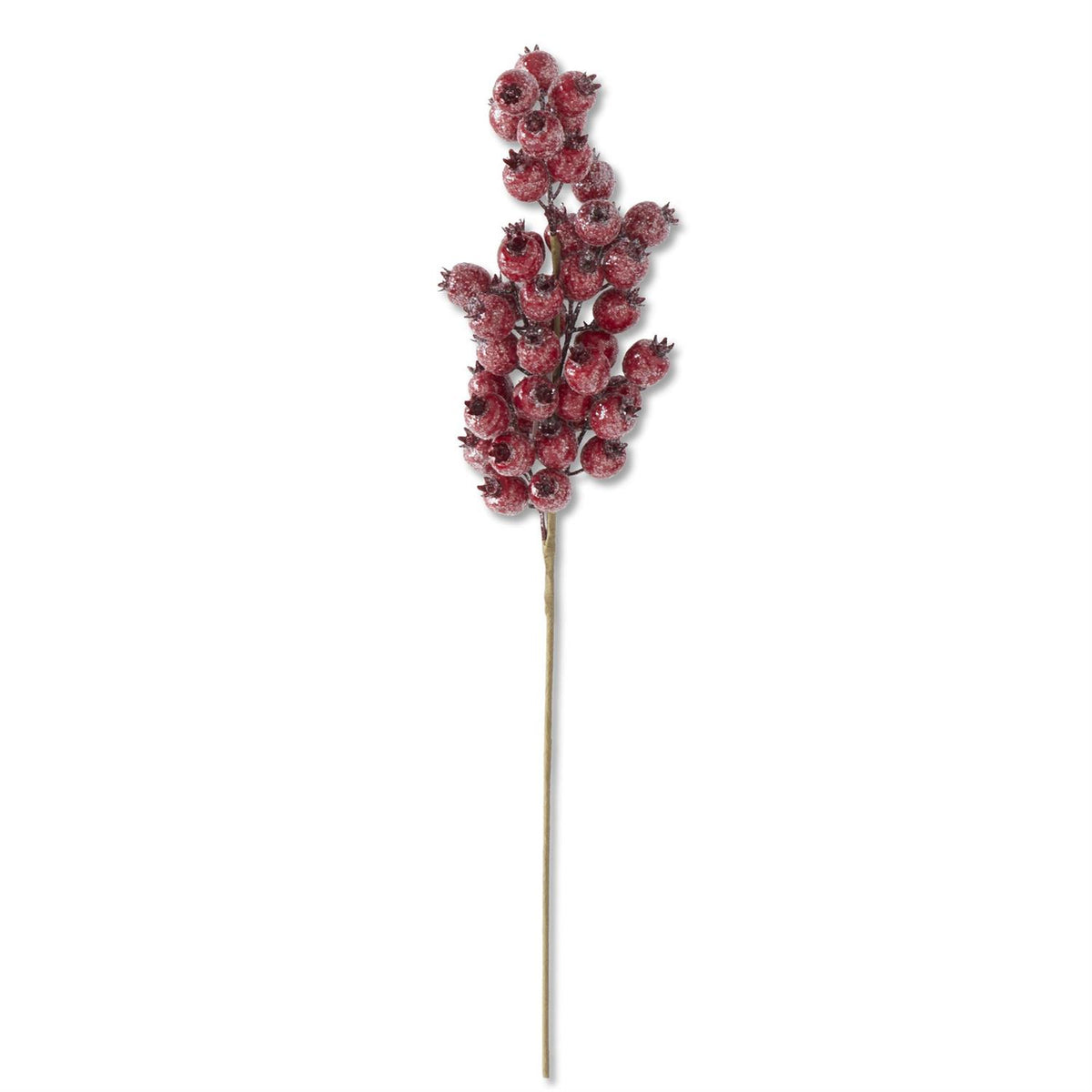 Glittered Red Rosehip Stem