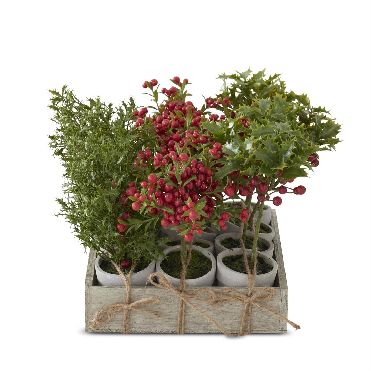Potted Red Holly Berry