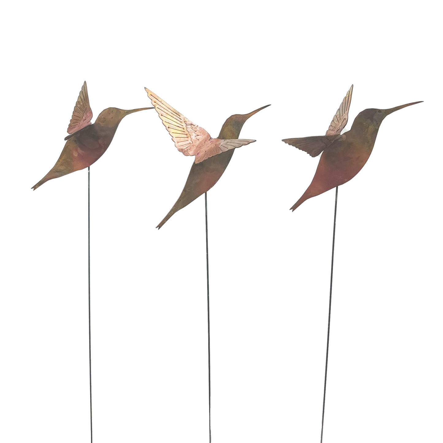 Natural Copper Hummingbird