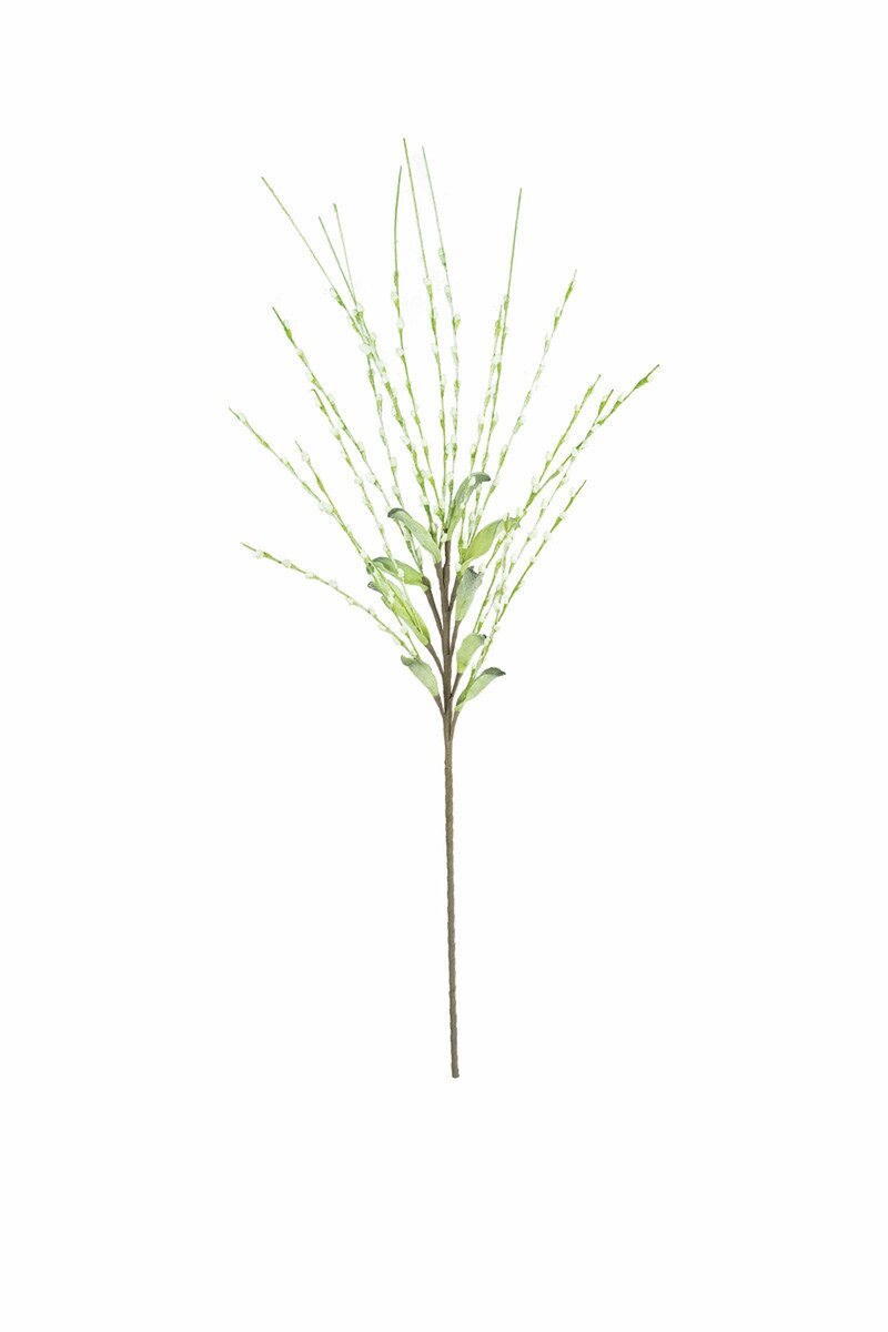 White Spring Blossom