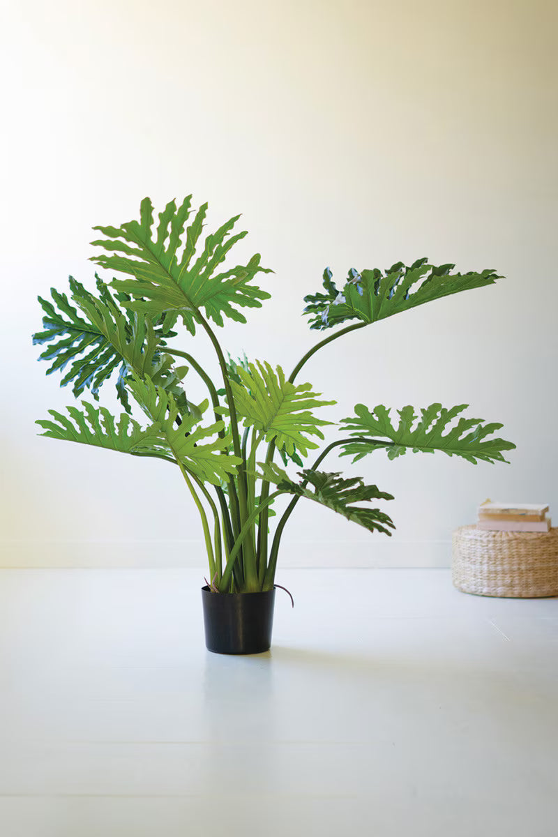Artificial Philodendron in a Black Plastic Pot