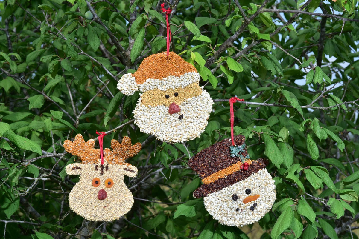 Christmas Bird Cookie