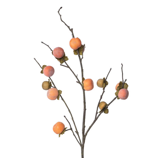 Persimmon Branch