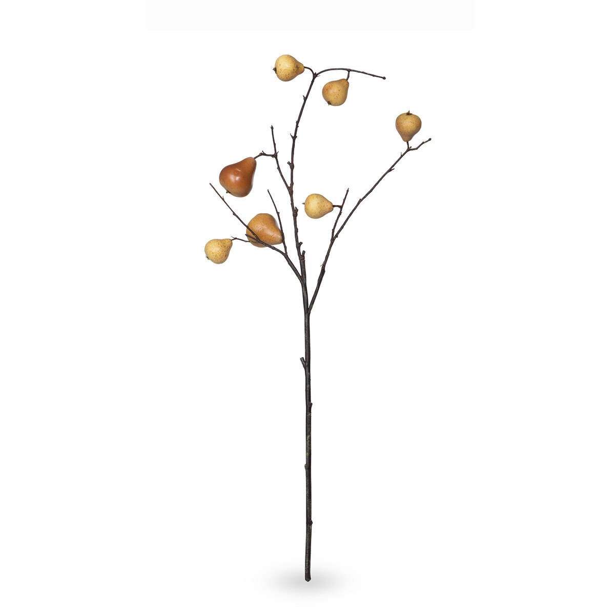 Autumn Pear Stem