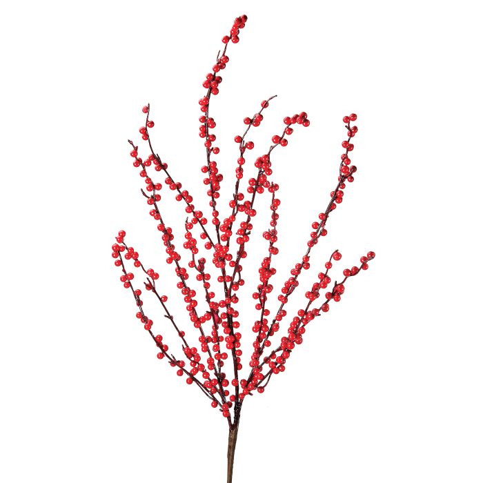 Ilex Berry Stem