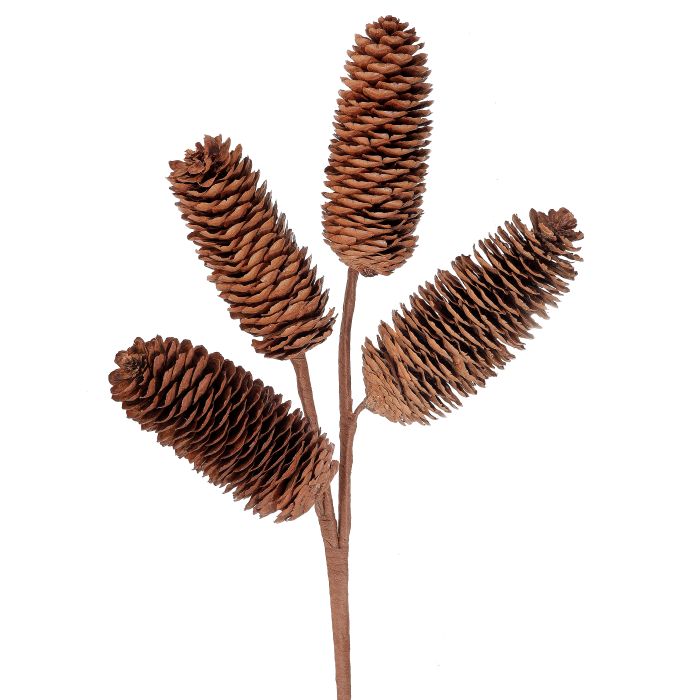 Pinecone Spray