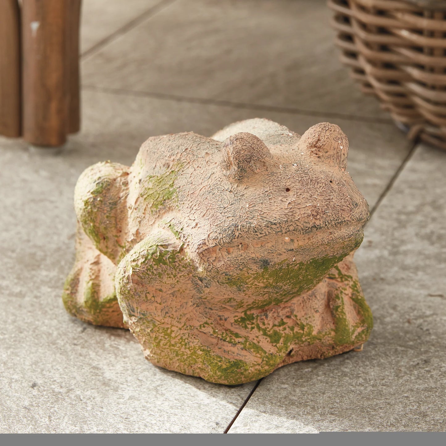 Weathered Garden Frog