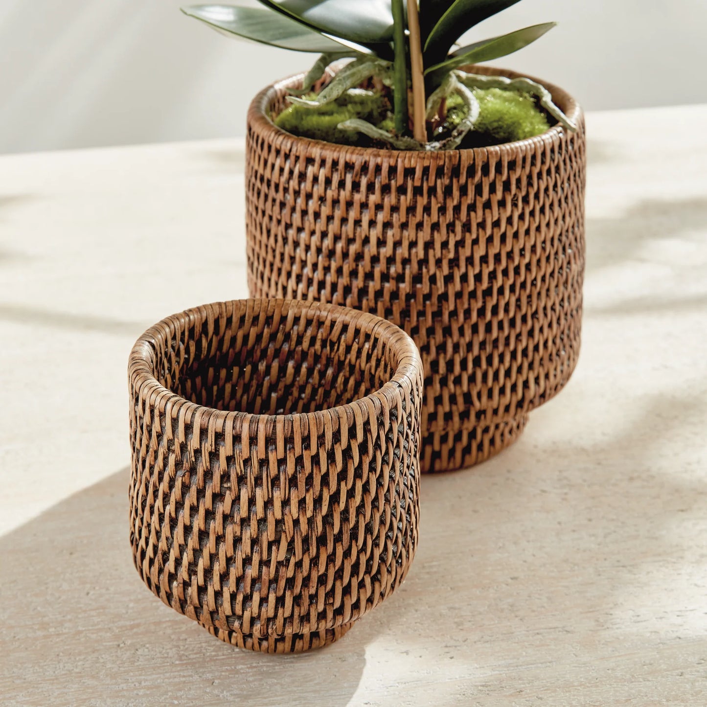 Burma Rattan Cachepot