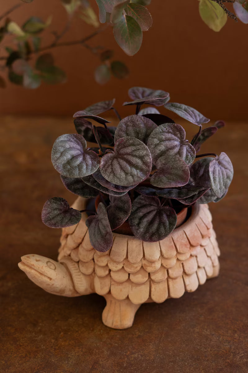 Terracotta Turtle Planter