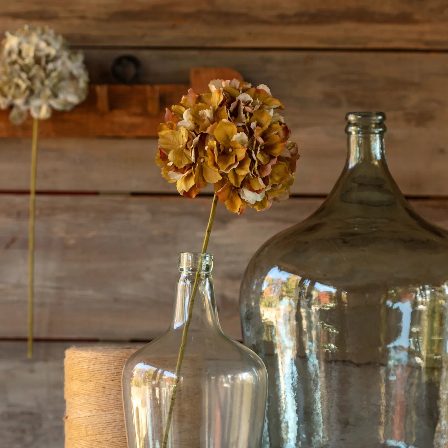 Hydrangea Stem- Late Season Green