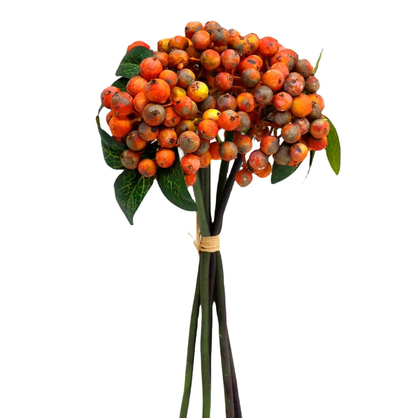Orange Berry Bundle