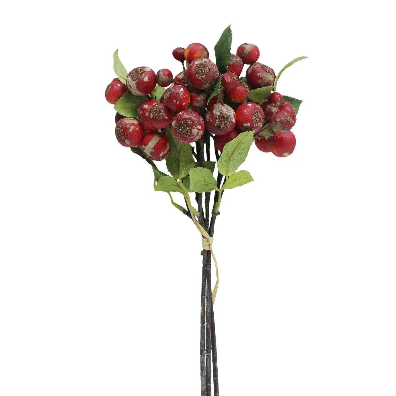 Red Rose Hip Bundle