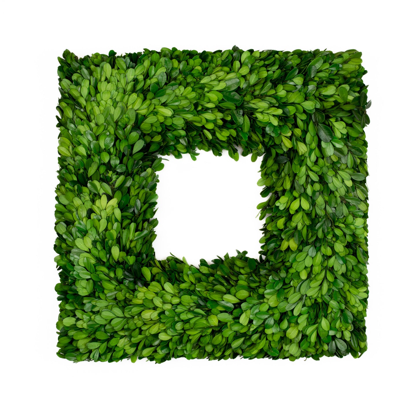 Square Preserved Boxwood Wreath