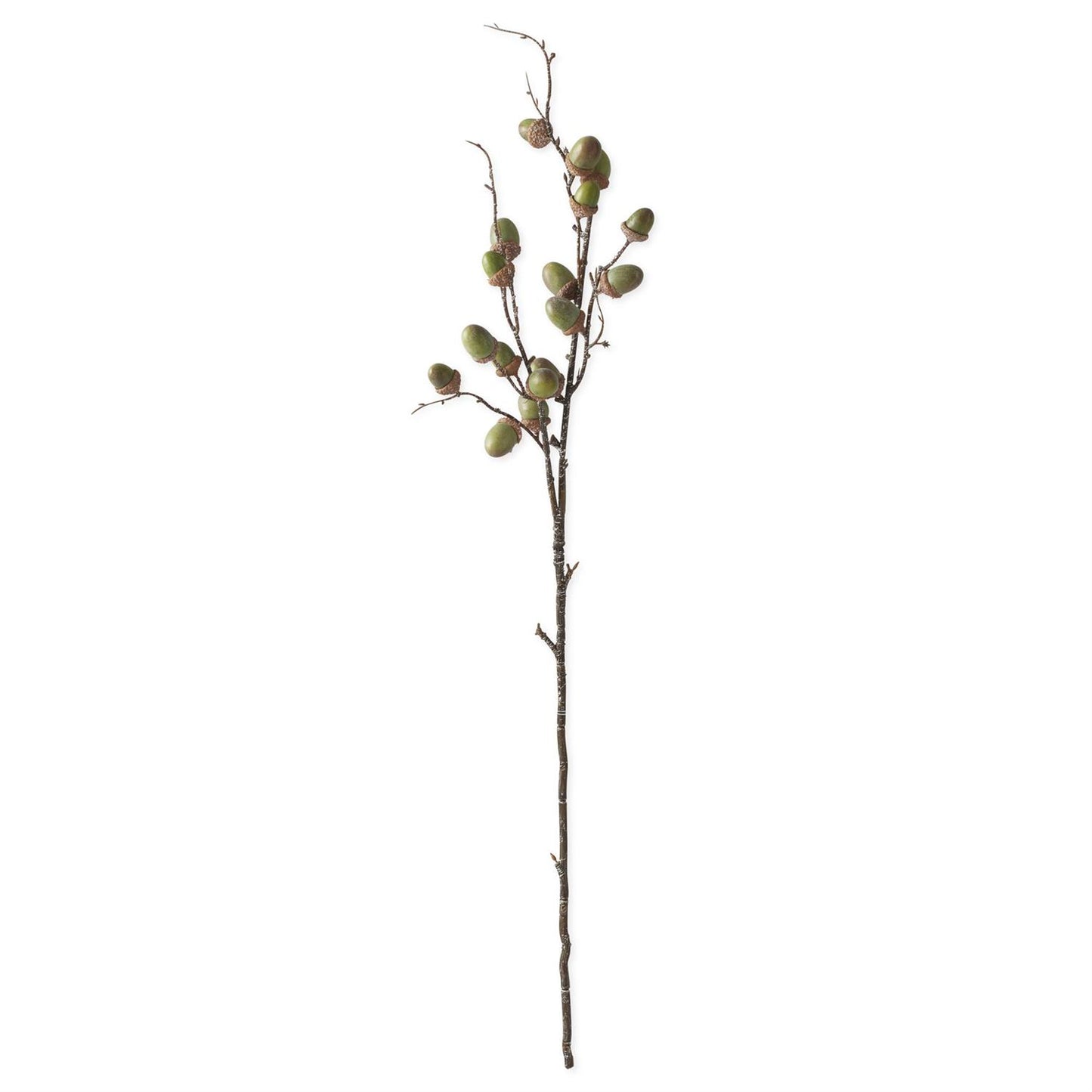 Green Acorn Stem