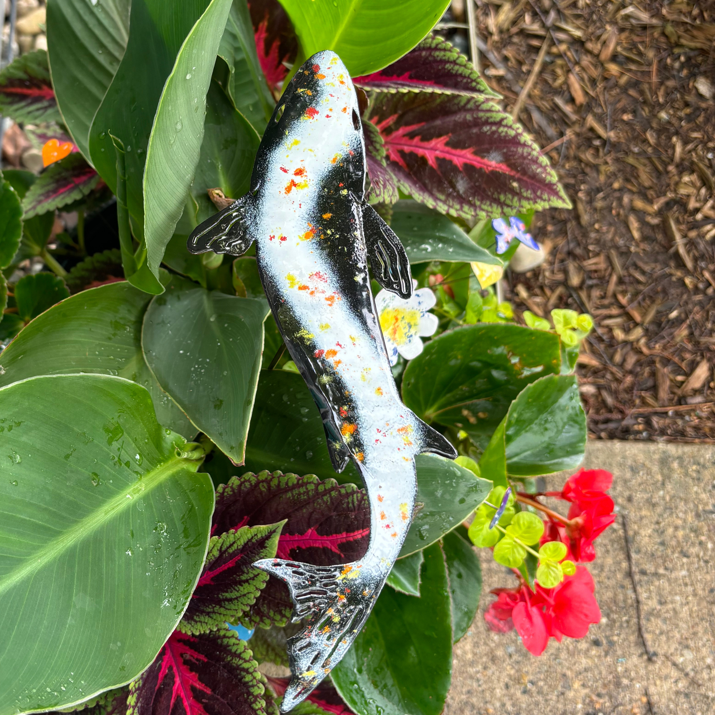 Enamel Koi - Colored