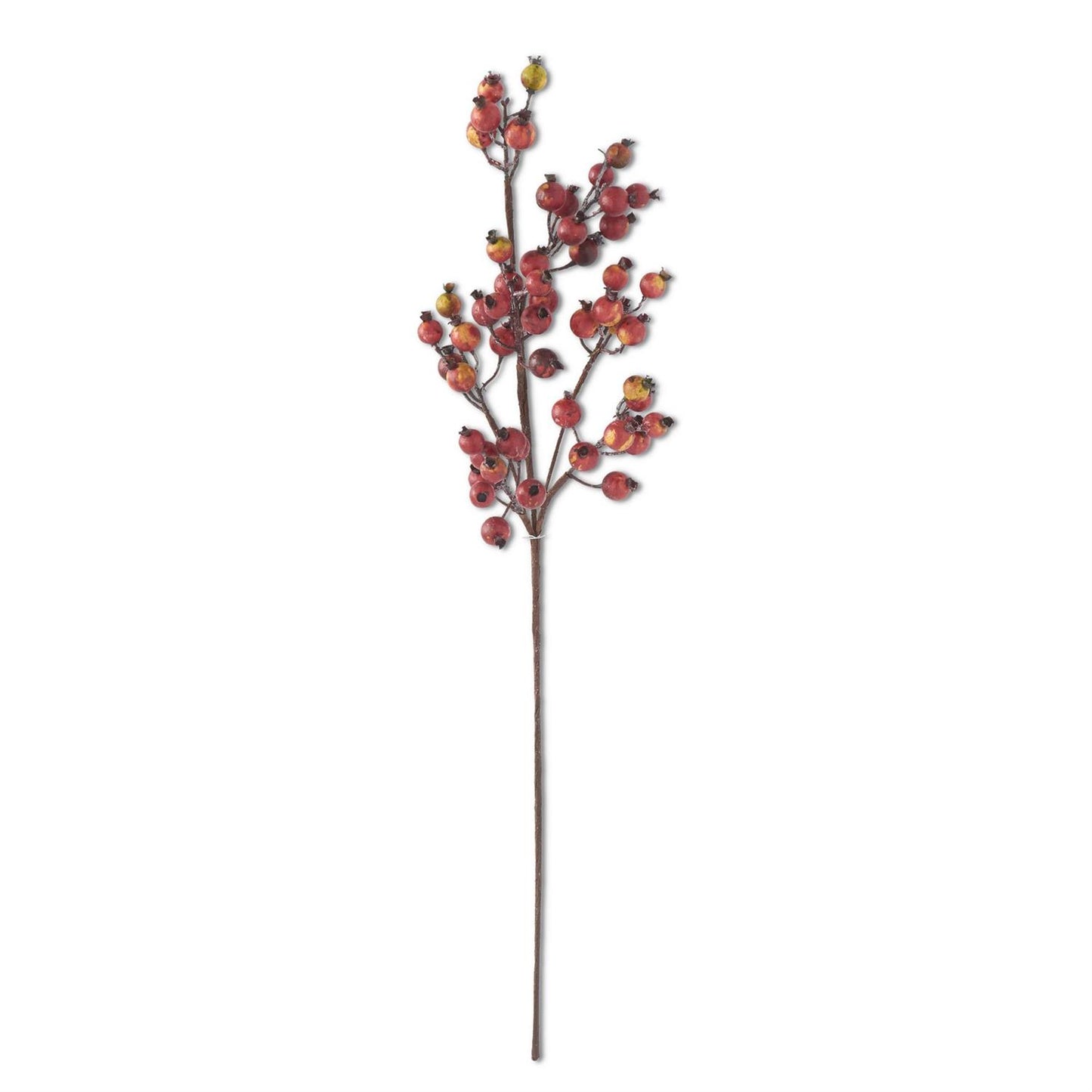 Crab Apple Stem