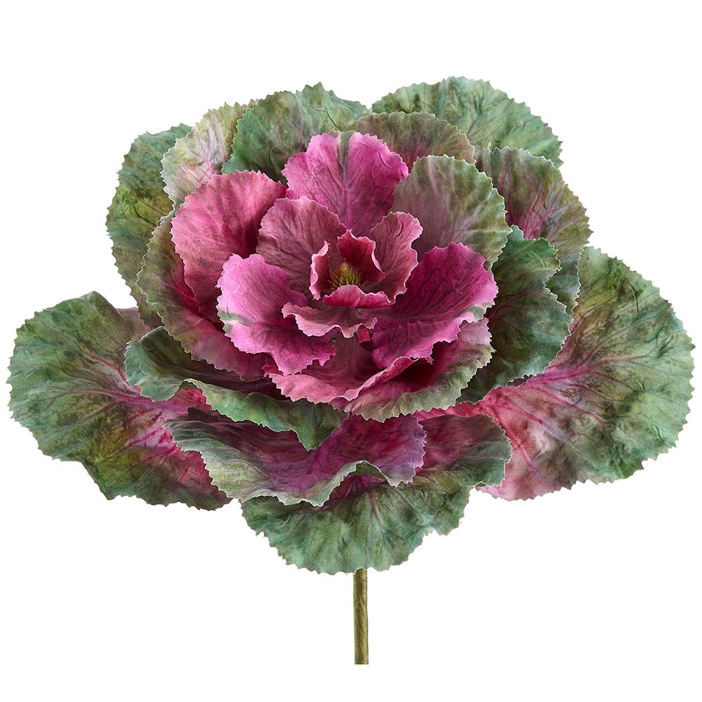 Ornamental Cabbage Pick