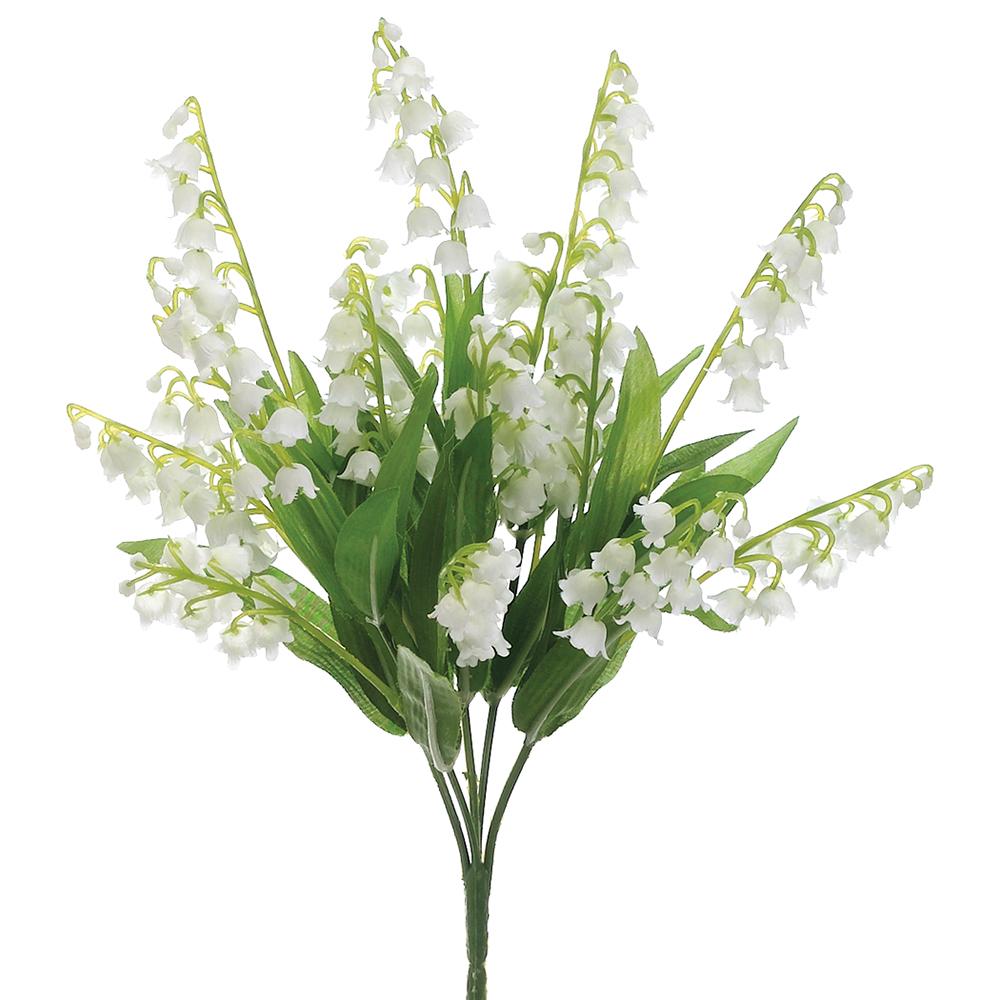 Lily of the Valley Bush