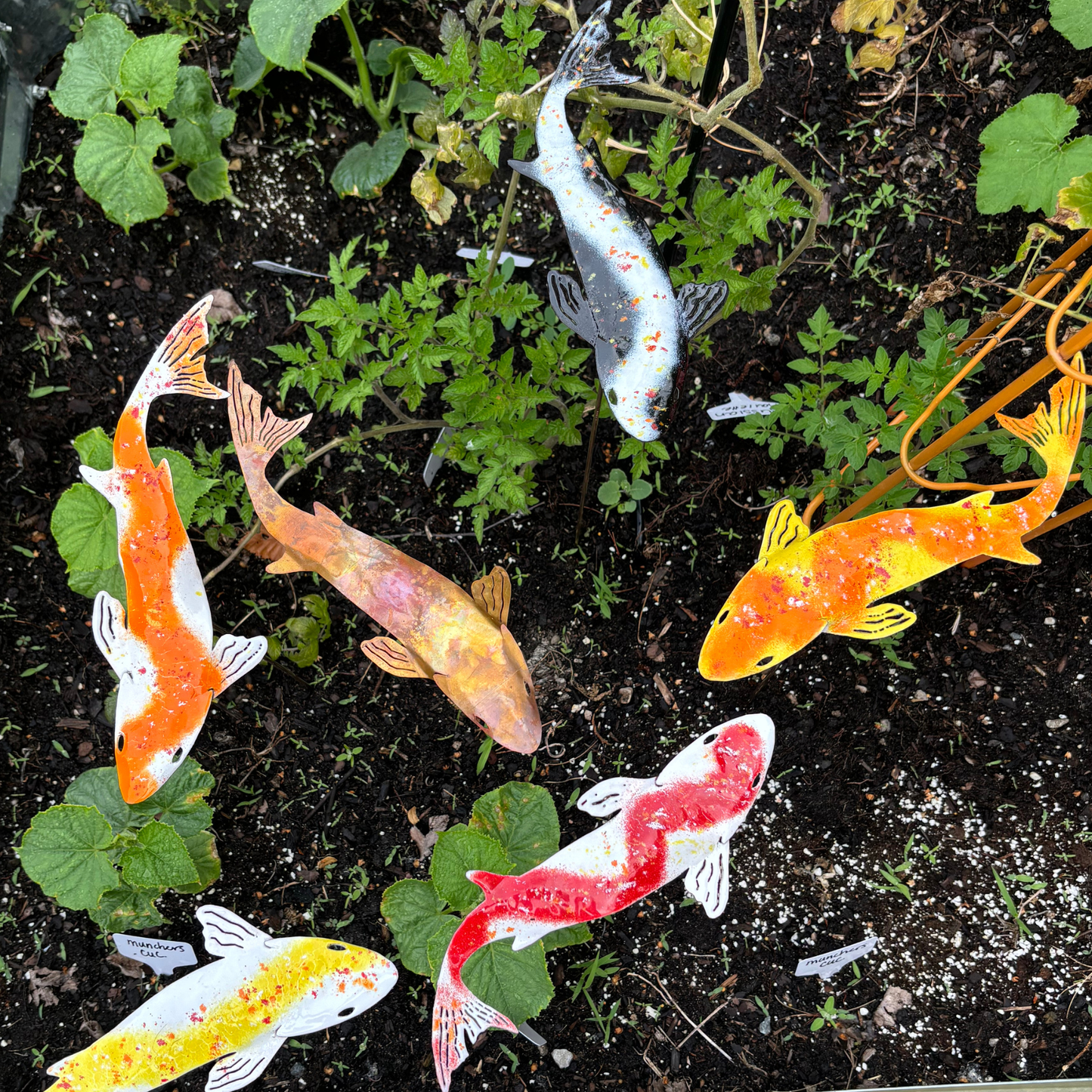 Enamel Koi - Colored