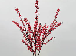 ILEX BERRY STEM 40"