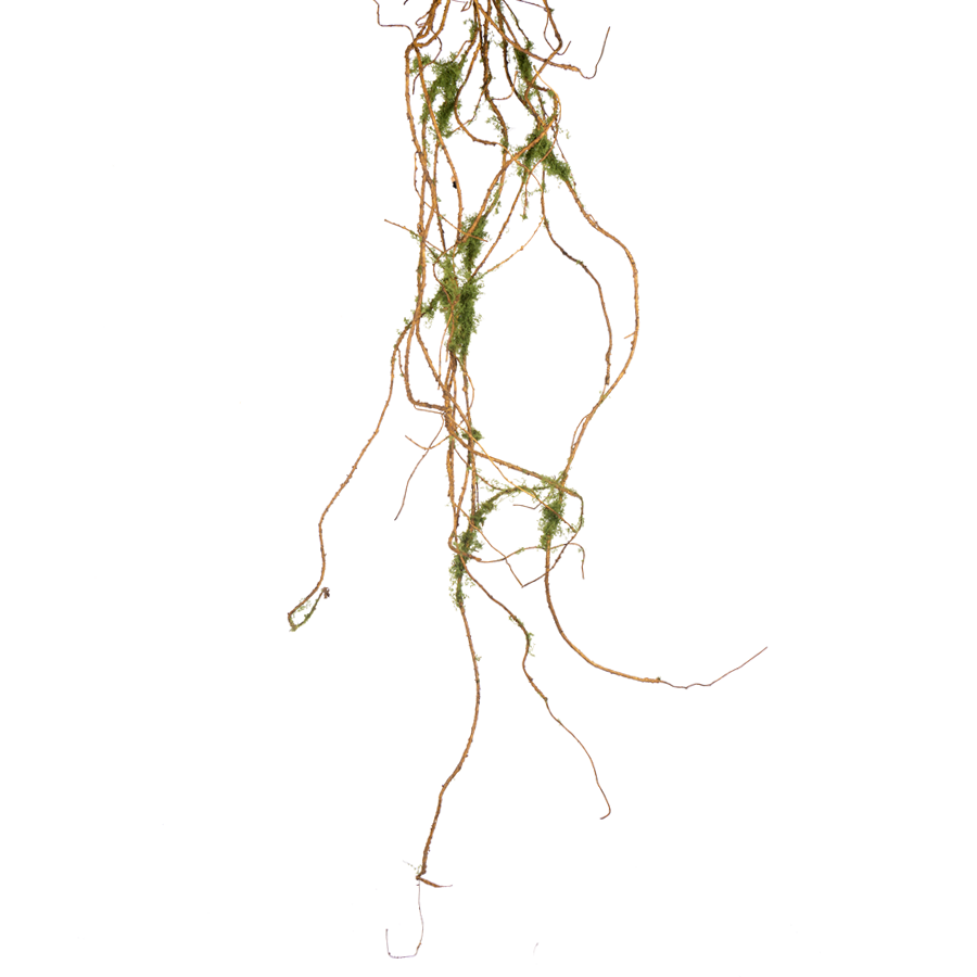 Moss Twig Garland