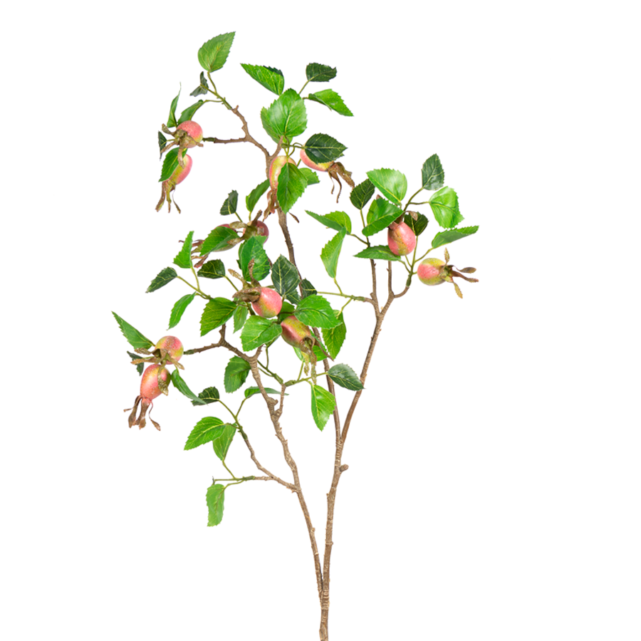 Salmon Rose Hip Spray
