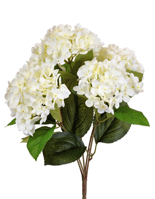 5-Stemmed Hydrangea