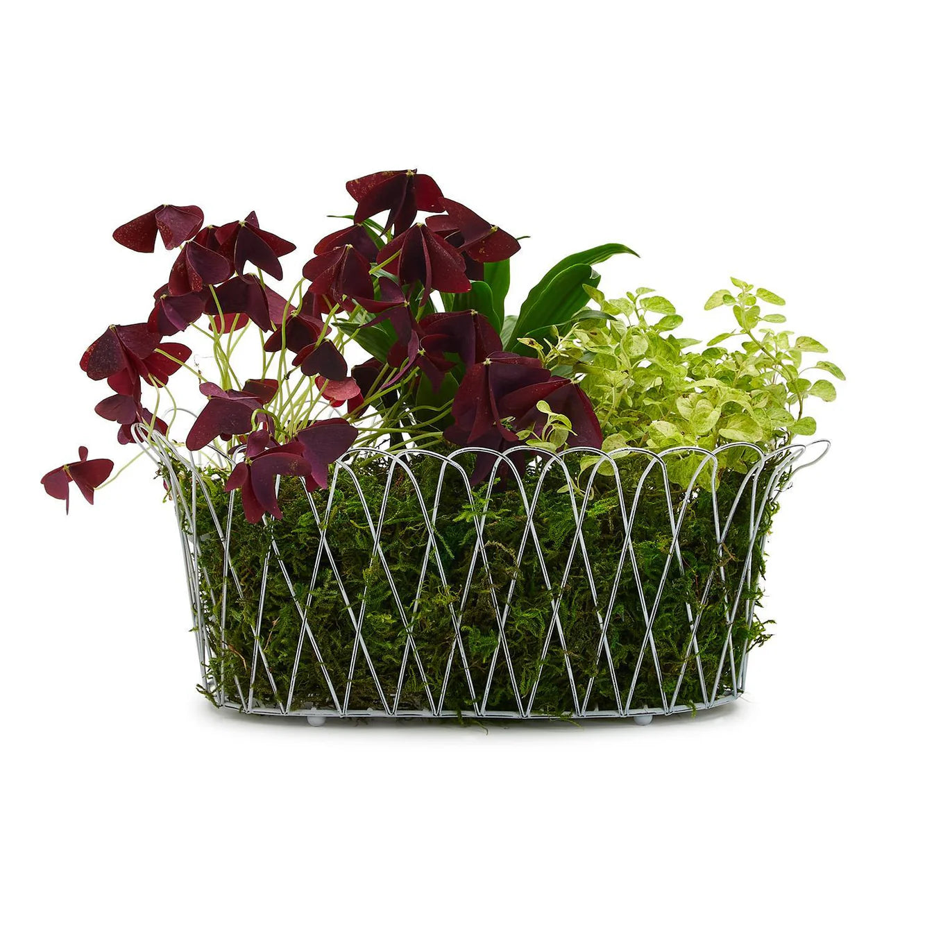 Large French Wire Basket