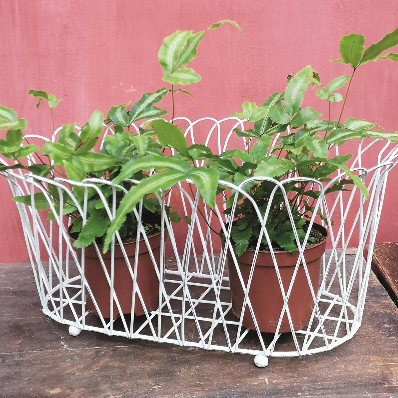 Large French Wire Basket