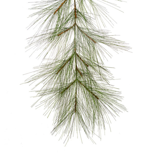 Long Needle Garland- 6 Foot