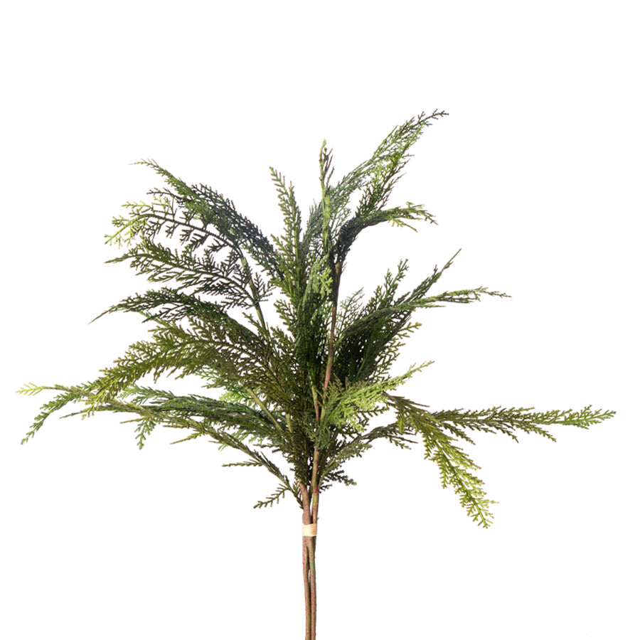 Cedar Bundle