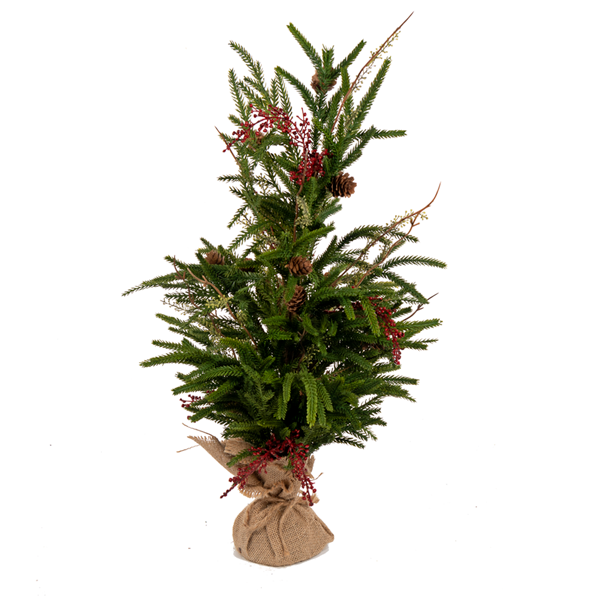Austrian Pine Tree