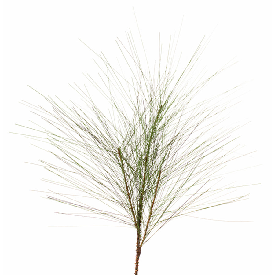 Long Needle Spray