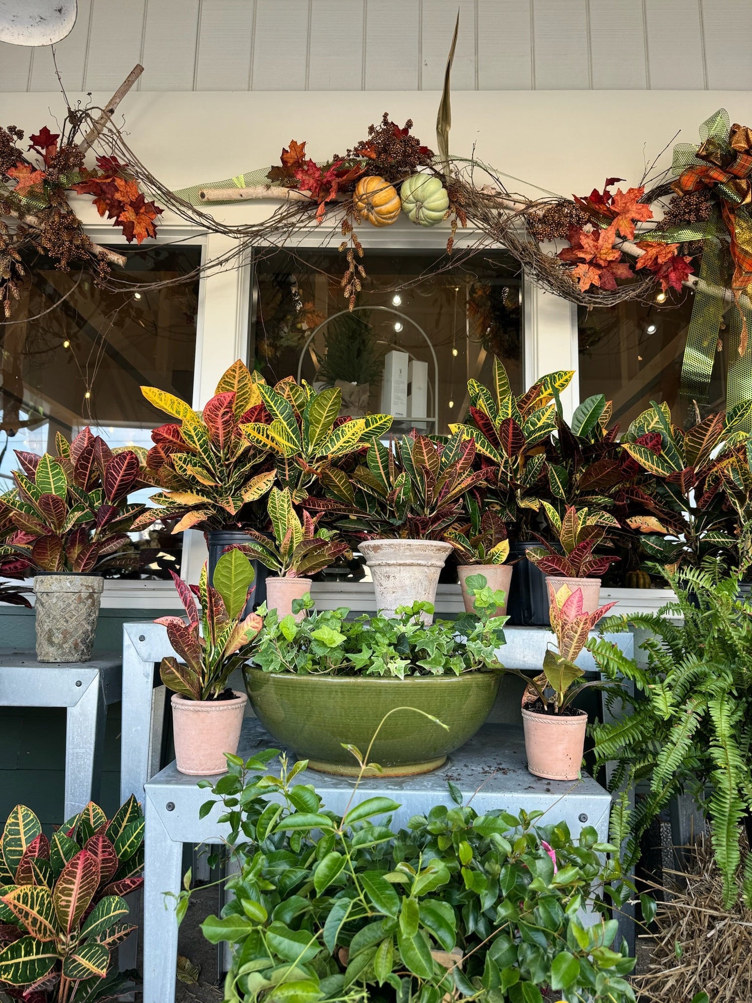 Thanksgiving