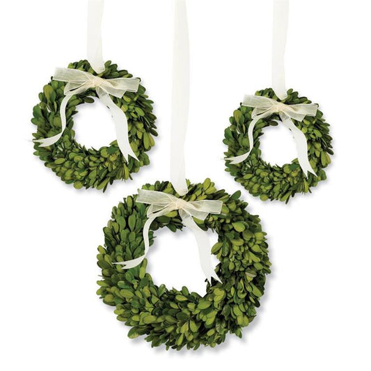 Mini Preserved Boxwood Wreaths