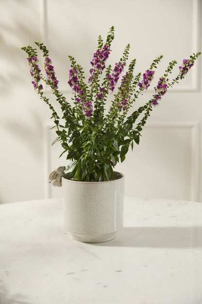 Sneaky Bunny Pot