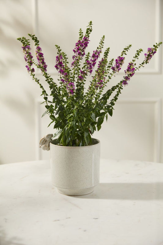 Sneaky Bunny Pot