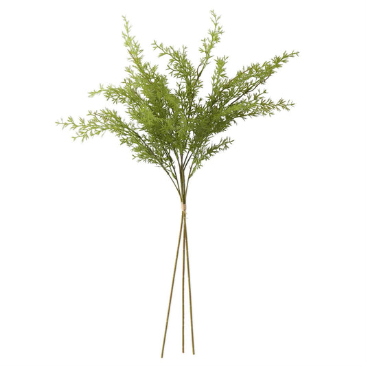 Water Sprite Fern Bundle