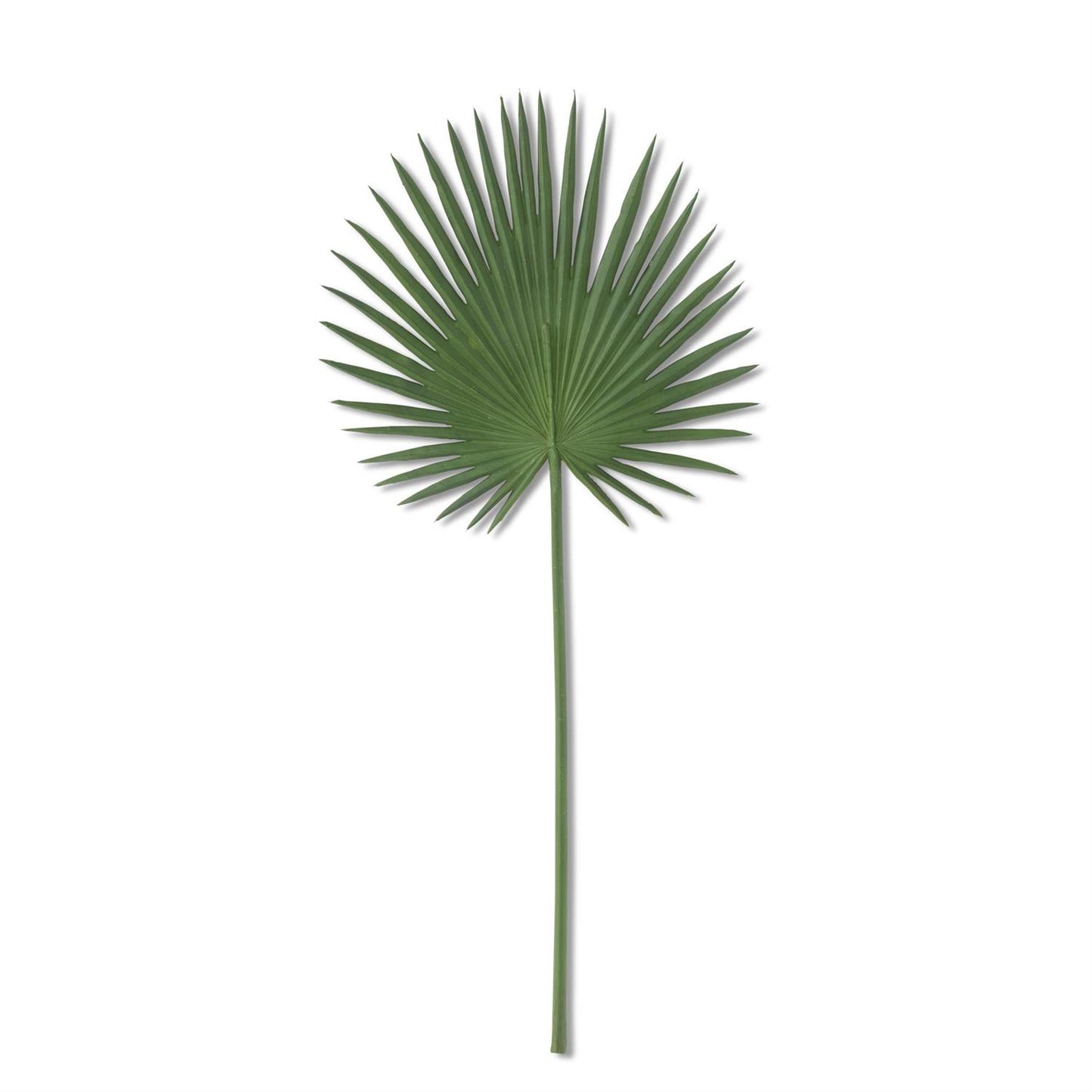 Palm Leaf Stem