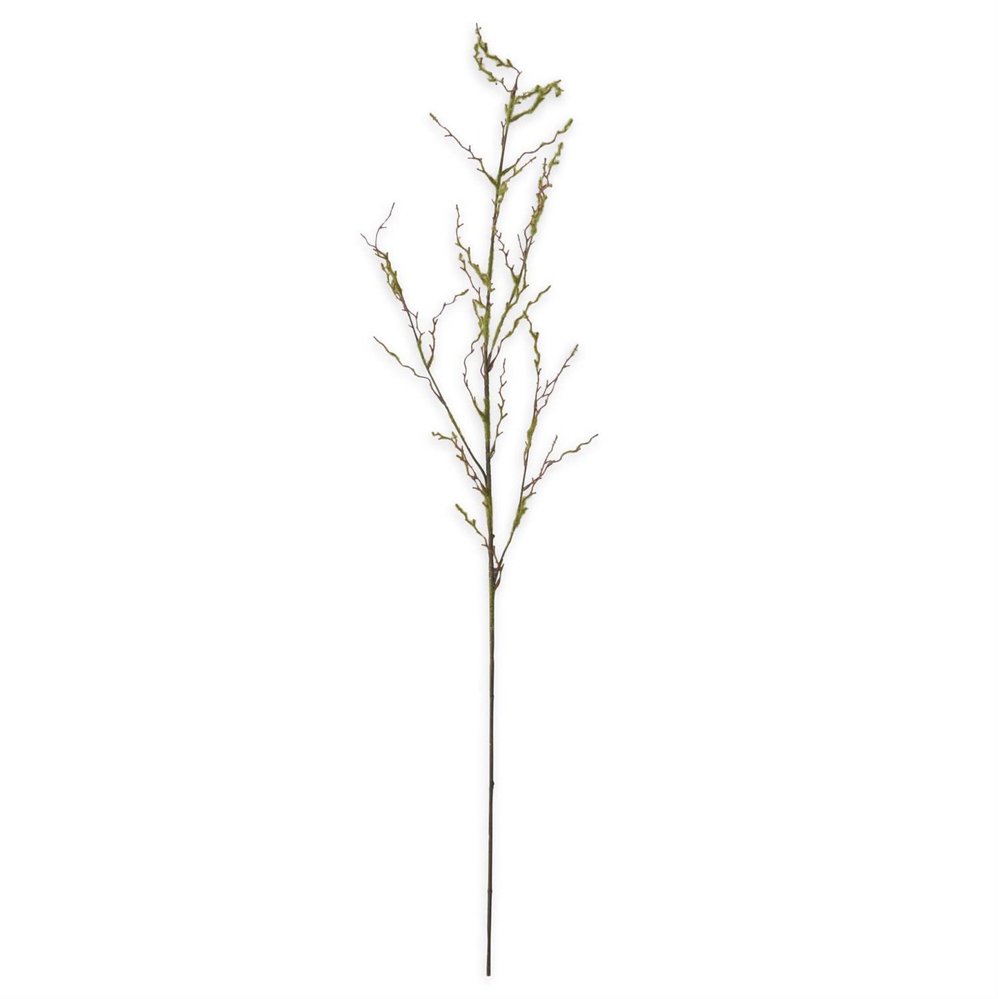 Mossy Twig Branch