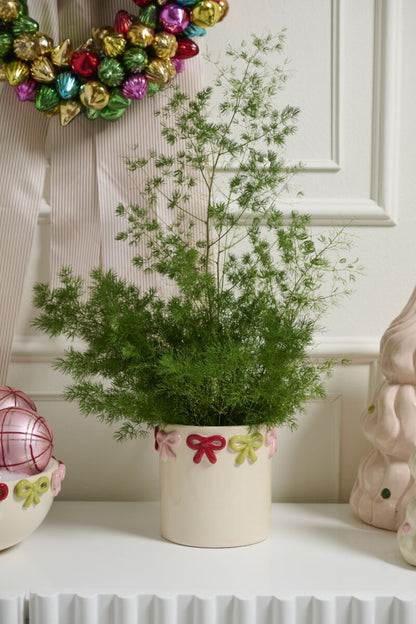 Ribbonelle Pot
