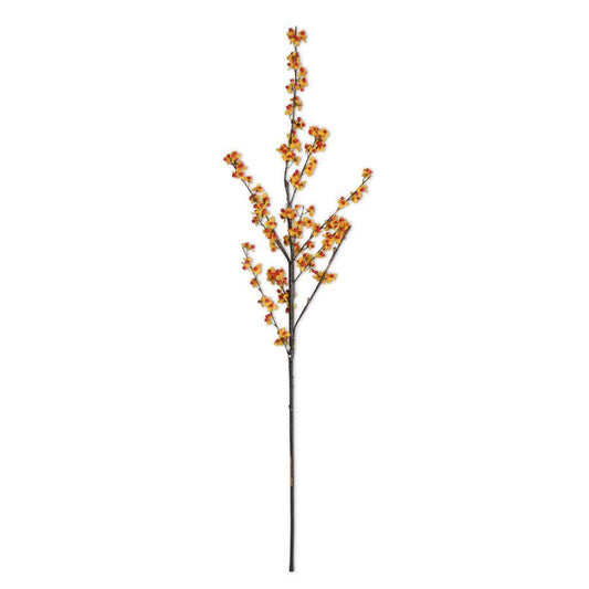 Bittersweet Branch